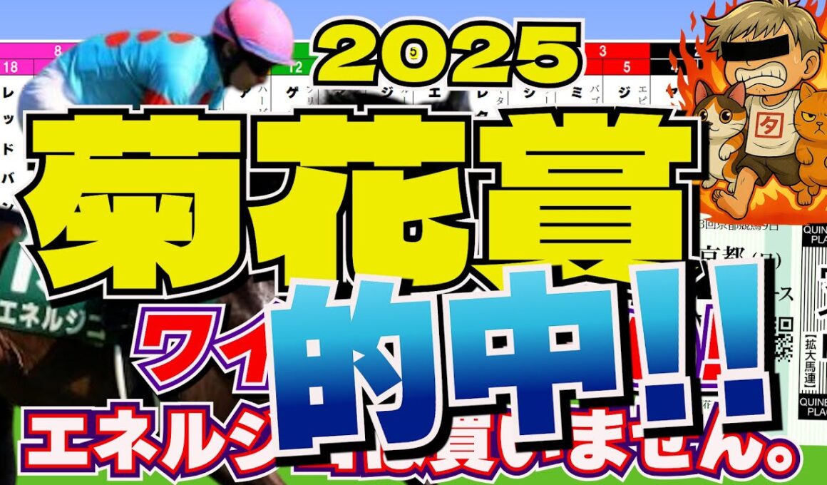 菊花賞2025「あぁ！！ついに！ついに〜っ！！」