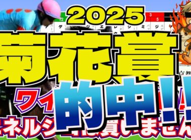 菊花賞2025「あぁ！！ついに！ついに〜っ！！」
