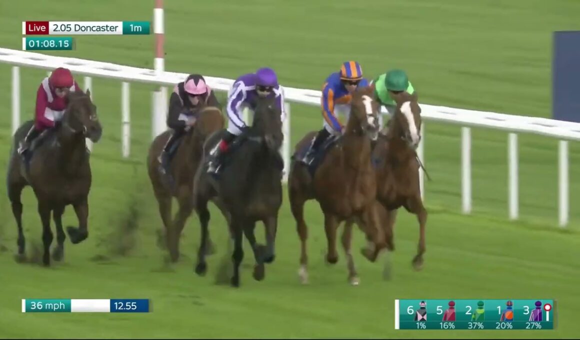 G1・フューチュリティT 2025 / William Hill Futurity Trophy Stakes 2025