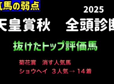 【競馬予想】　天皇賞秋　全頭診断　事前予想　2025