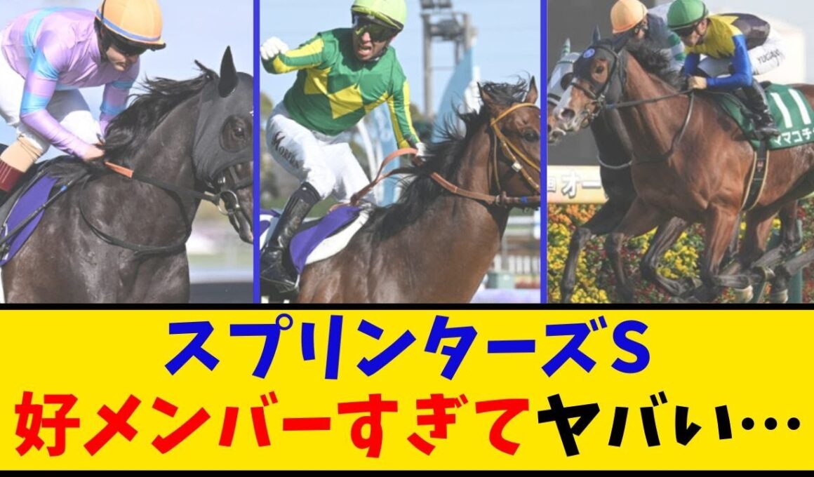 【スプリンターズS】「出走予定馬 好メンバー揃いすぎてヤバい…」に対するみんなの反応【反応集】
