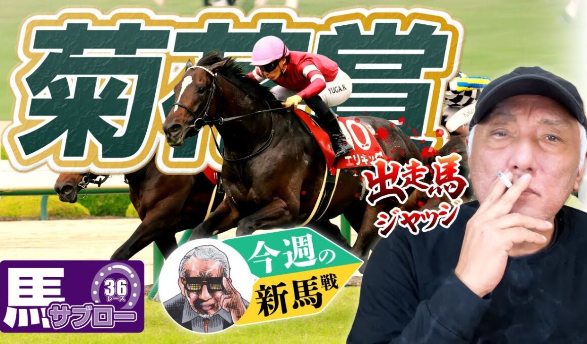 【菊花賞】出走馬ジャッジ