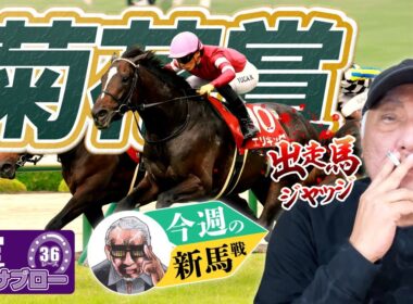 【菊花賞】出走馬ジャッジ