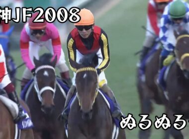 ブエナビスタ 阪神ジュベナイルフィリーズ 2008 ぬるぬる化で見よう conv to 60fps