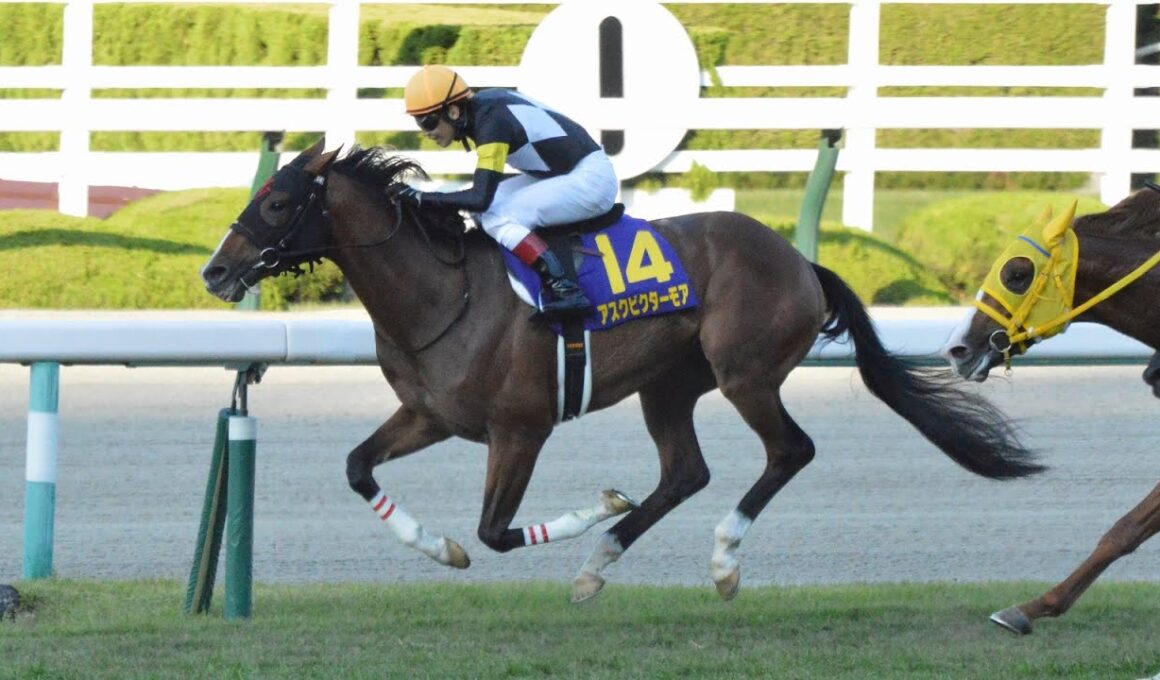 【競馬】GI 菊花賞やります