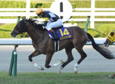 【競馬】GI 菊花賞やります