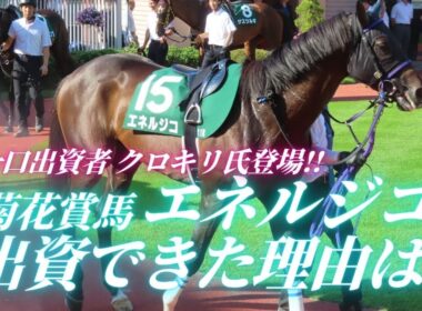 【一口馬主】エネルジコの出資者クロキリ氏コラボ!!出資できた理由＋エムイシ氏による血統解説!!