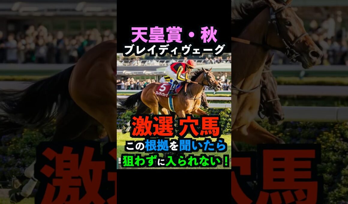 【天皇賞秋2025】激選穴馬推奨！ブレイディヴェーグを必ず押さえるべき理由！#天皇賞秋 #天皇賞秋2025 #ブレイディヴェーグ #ウマキんグ #うまログ #競馬予想tv #競馬予想 #shorts