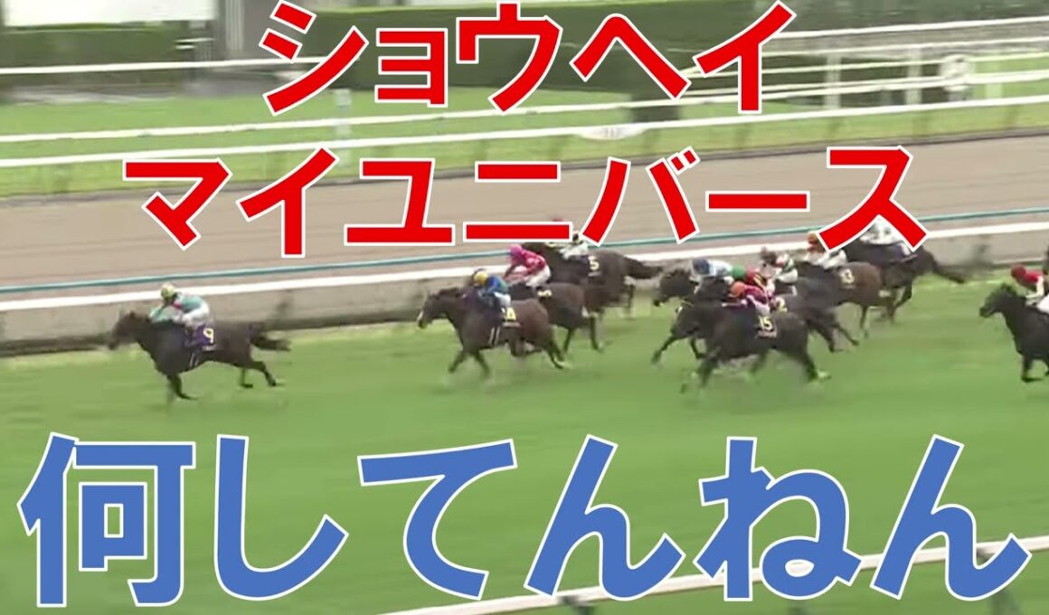 菊花賞 2025 結果 レース回顧 ショウヘイ マイユニバース負けすぎやで