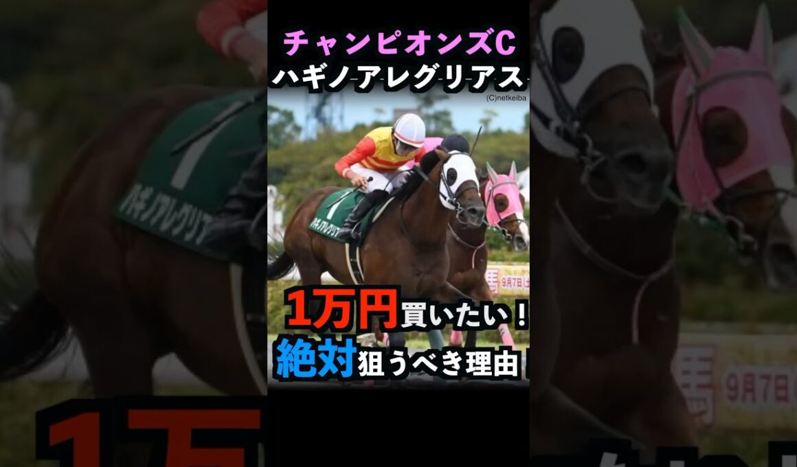【チャンピオンズカップ2024】1万円買いたい！ハギノアレグリアスを絶対に狙うべき理由！#ハギノアレグリアス #チャンピオンズカップ2024 #競馬予想 #レモンポップ  #shorts