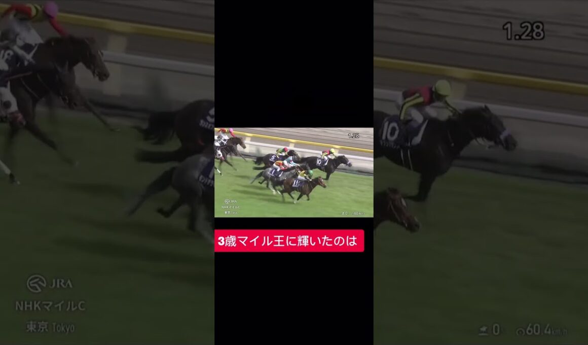 NHKマイルカップGⅠ 2025.5.11 #NHKマイルカップ #NHKマイル2025 #競馬予想 #競馬 #G1レース #東京競馬場 #JRA #馬券予想 #穴馬 #本命馬 #競馬ファン