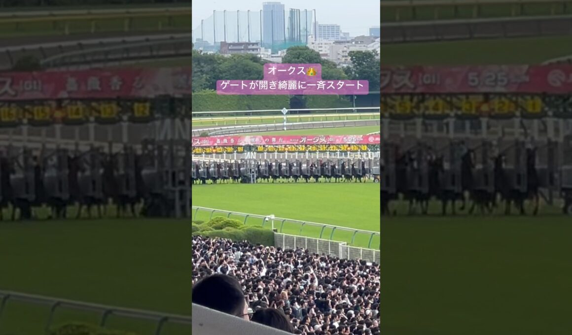 オークス🎀綺麗に揃ってゲートを出る出走馬# #horse #競馬 #オークス#オークス2025#優駿牝馬 #東京競馬場#g1