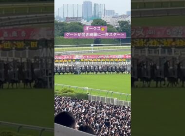 オークス🎀綺麗に揃ってゲートを出る出走馬# #horse #競馬 #オークス#オークス2025#優駿牝馬 #東京競馬場#g1