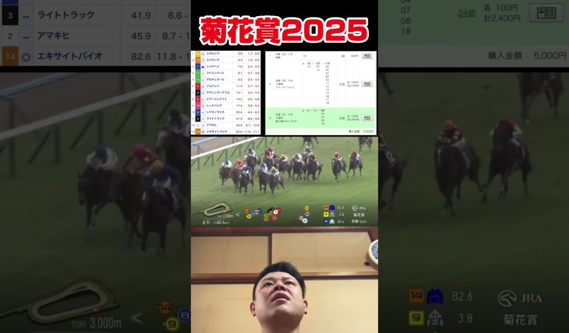 菊花賞2025エキサイトバイオエリキング本線で大的中なるか？ #競馬 #菊花賞#馬券生活