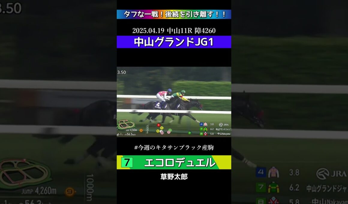 【 競馬 】 エコロデュエル！G1中山グランドジャンプ勝利！タフな一戦！後続を引き離す！！今週のキタサンブラック産駒特集！#shorts #競馬