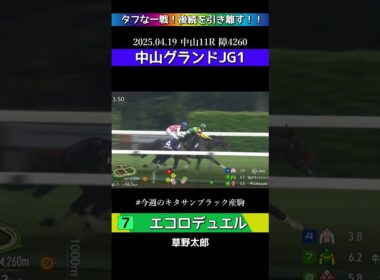 【 競馬 】 エコロデュエル！G1中山グランドジャンプ勝利！タフな一戦！後続を引き離す！！今週のキタサンブラック産駒特集！#shorts #競馬