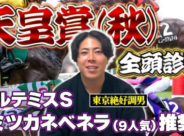 【天皇賞秋2025 全頭診断】東京絶好調男が誰が来てもおかしくないメンバーの優劣をはっきりつけます