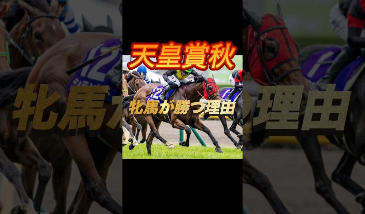 天皇賞秋2025 牝馬が勝つ理由