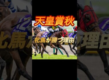 天皇賞秋2025 牝馬が勝つ理由