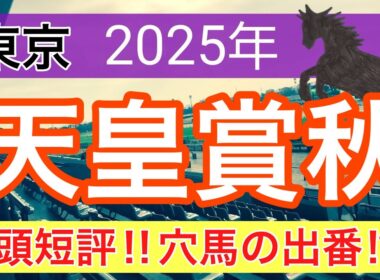 【天皇賞秋2025】蓮の競馬予想(全頭短評)