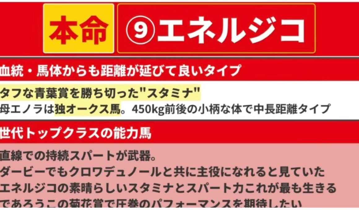 【菊花賞2025】◎最も強い馬に成れ。人気薄絡めた5頭で勝負。【最終見解】
