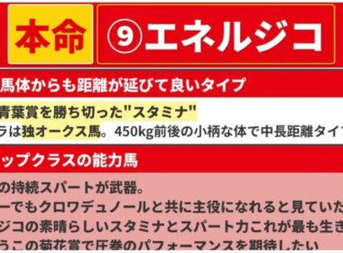 【菊花賞2025】◎最も強い馬に成れ。人気薄絡めた5頭で勝負。【最終見解】