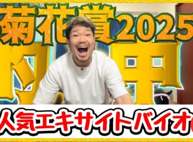 菊花賞2025【実践】大穴エキサイトバイオ指名で2年連続的中しました