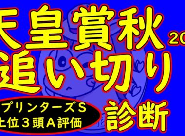 天皇賞秋2025追い切り診断！上位人気のミュージアムマイルやメイショウタバルは黄信号？逆に状態面の良さで逆転を狙う伏兵馬の方が不気味さ漂う！