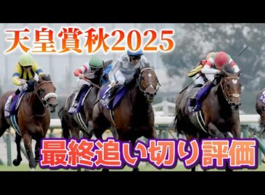 天皇賞秋2025 最終追い切り評価