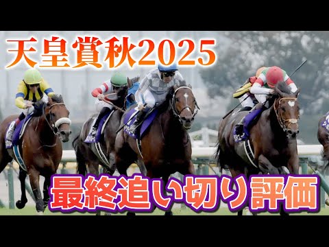 天皇賞秋2025 最終追い切り評価