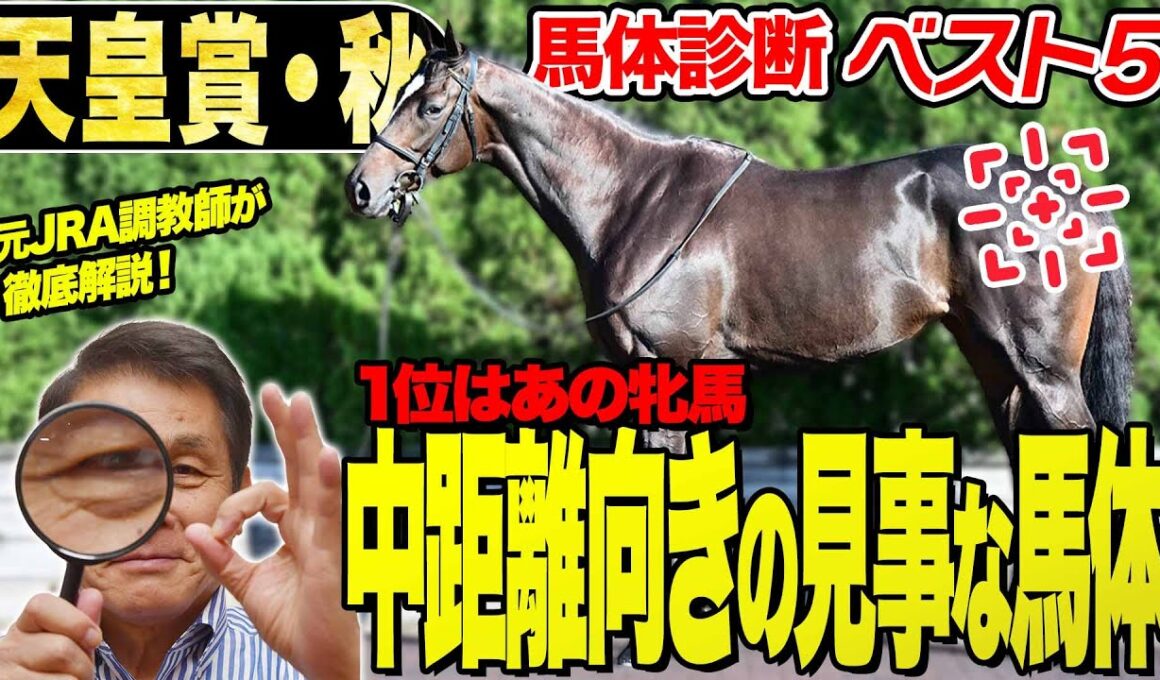 【天皇賞・秋2025】中村均元調教師が馬体診断ベスト５を発表　中距離向きの見事な馬体！復活を狙うあの牝馬が１位《東スポ競馬》