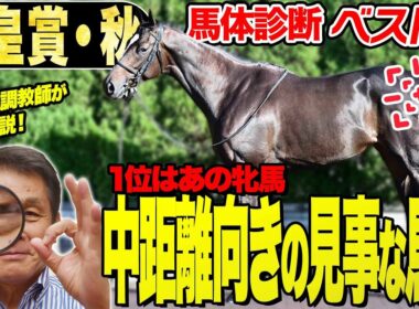 【天皇賞・秋2025】中村均元調教師が馬体診断ベスト５を発表　中距離向きの見事な馬体！復活を狙うあの牝馬が１位《東スポ競馬》