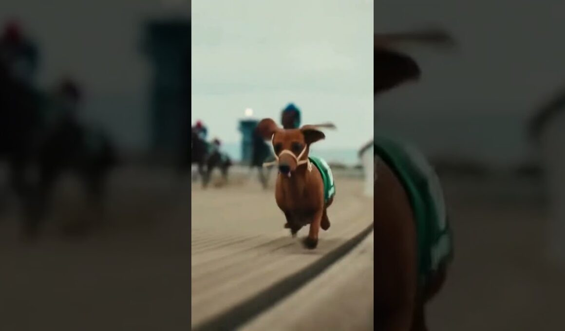 有馬記念にダックスフンドが参加してみた