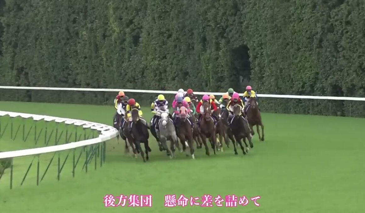 ココロオドル 2009年 エリザベス女王杯