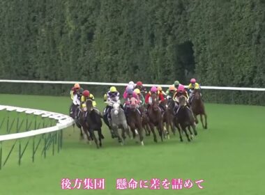 ココロオドル 2009年 エリザベス女王杯