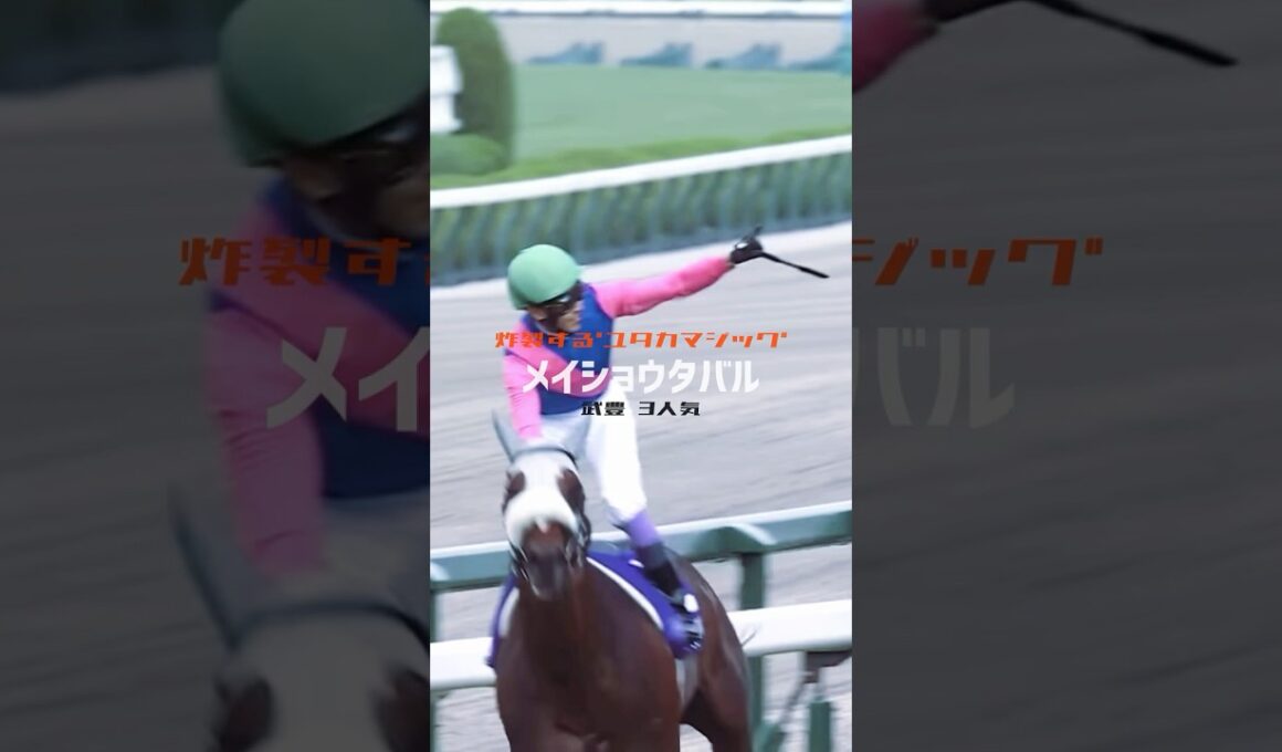 【競馬MAD】天皇賞・秋2025／千本桜 #天皇賞秋