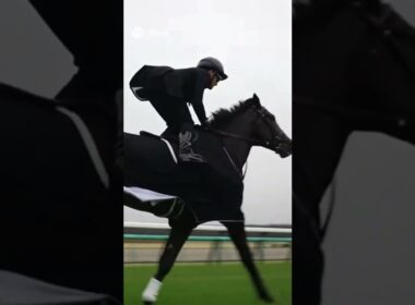 天皇賞秋の正装#sora #shorts