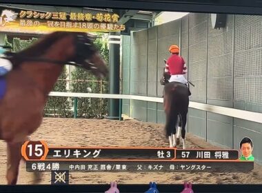 【本場馬入場実況】第86回菊花賞G1