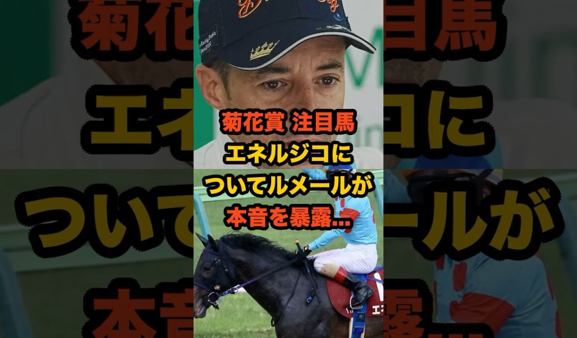 ルメールが語った“エネルジコの本音”…菊花賞3連覇へ秘めた決意とは#競馬 #ルメール #菊花賞 #エネルジコ