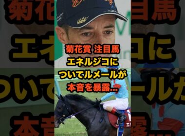 ルメールが語った“エネルジコの本音”…菊花賞3連覇へ秘めた決意とは#競馬 #ルメール #菊花賞 #エネルジコ