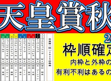 天皇賞秋2025枠順確定！3歳馬マスカレードボールは5枠7番に入りミュージアムマイルは6枠9番と奇数番に入った！メイショウタバルが8枠13番でホウオウビスケッツが5枠8番と逃げ争いにも注目が集まる！