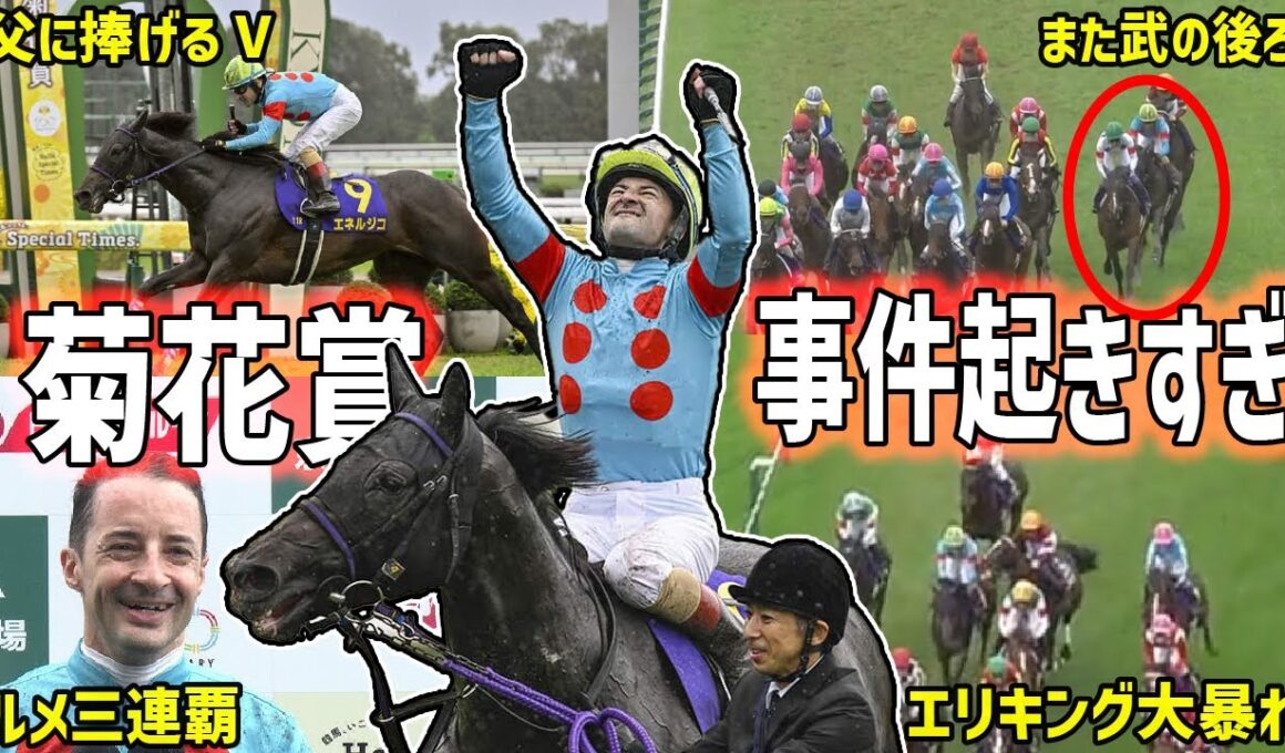 【菊花賞2025】制したのはエネルジコ！今週も正解は武豊の後ろ過ぎたレースを振り返る