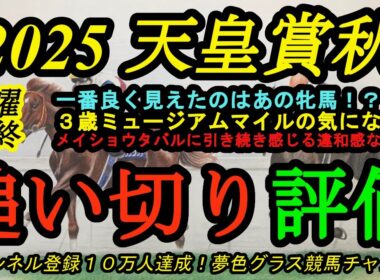 【最終追い切り評価】2025天皇賞秋！一番良く見えたのはあの牝馬！ミュージアムマイルの気になる点やメイショウタバルの違和感とは？
