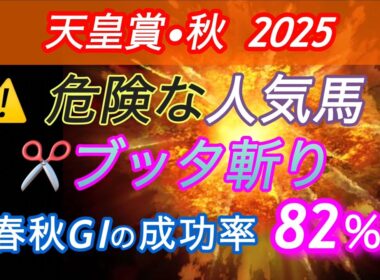 【天皇賞・秋  2025 予想】　⚠️危険な人気馬のブッタ斬り✂️