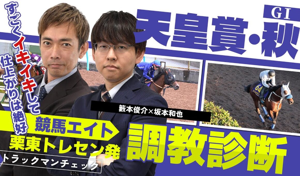 【競馬エイト調教診断】天皇賞・秋（坂本和也＆籔本俊介）