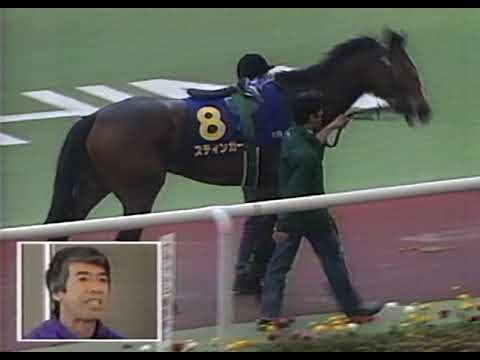 第59回 桜花賞 G1 （1999/4/11・阪神） プリモディーネ