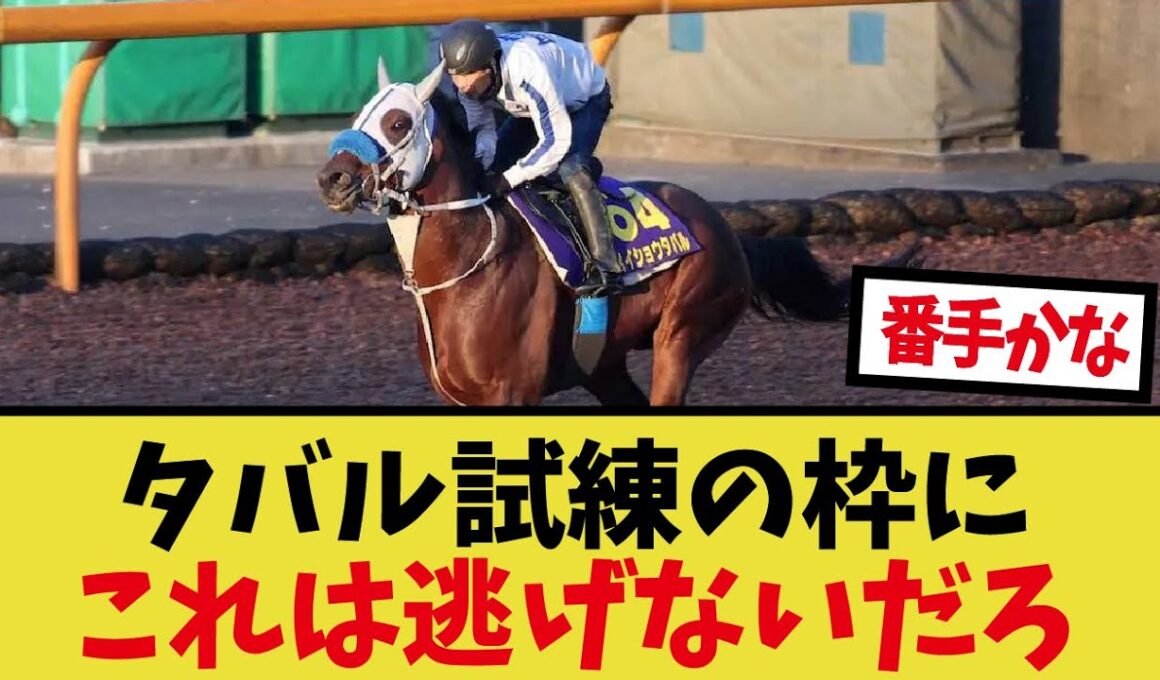 「天皇賞秋枠順確定！」に対するみんなの反応集