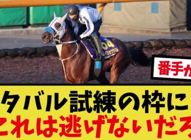 「天皇賞秋枠順確定！」に対するみんなの反応集