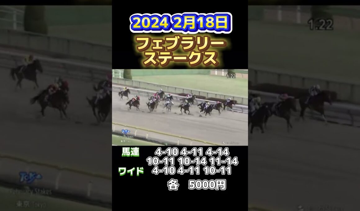 # #競馬 #フェブラリーステークス2024 #ペプチドナイル