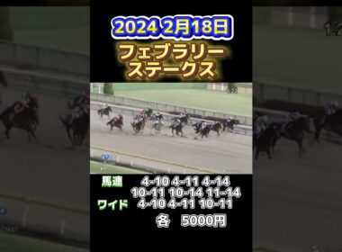 # #競馬 #フェブラリーステークス2024 #ペプチドナイル
